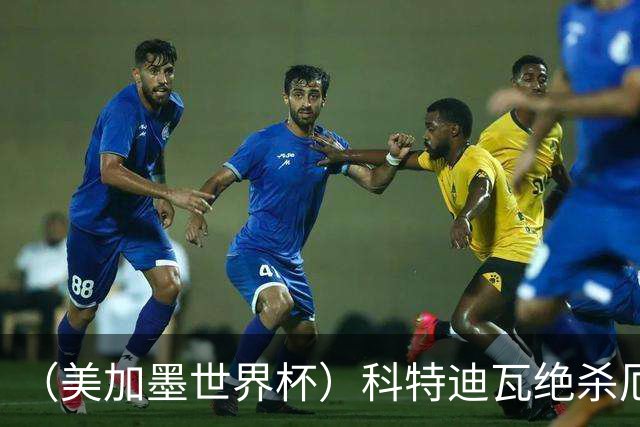 （美加墨世界杯）科特迪瓦绝杀厄瓜多尔 瑞典5:1大胜突尼斯
